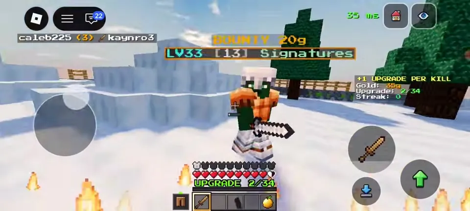 Level 33 player with a 20 gold bounty walking through the snow arena